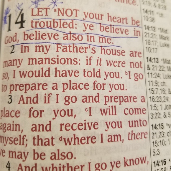 Meet your Posher, William - Picture 1 of 1